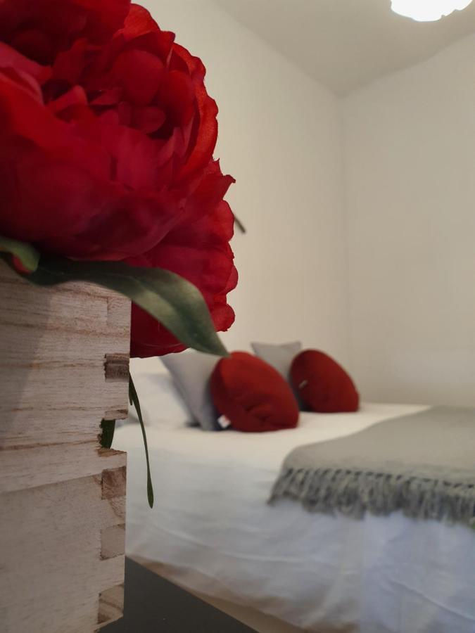 Casa Gil Vicente Holiday home